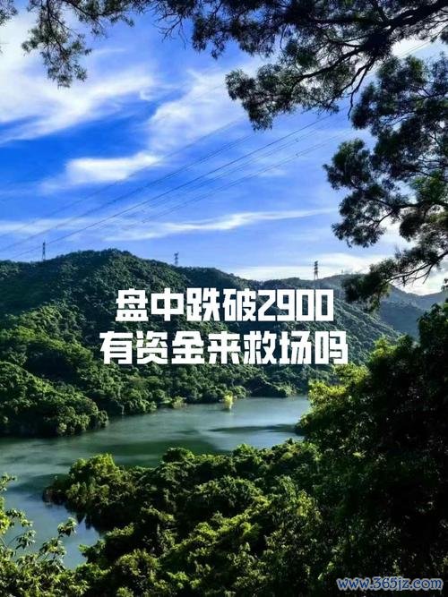 易欧交易所低资金能玩吗？小资金入场实战攻略与避坑秘籍